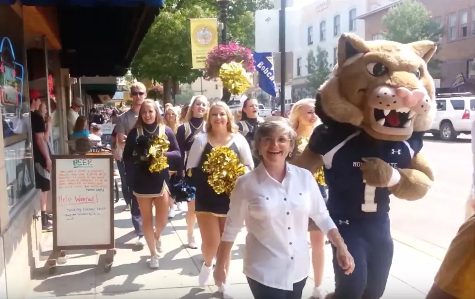 Cat Walk in Downtown Bozeman Friday