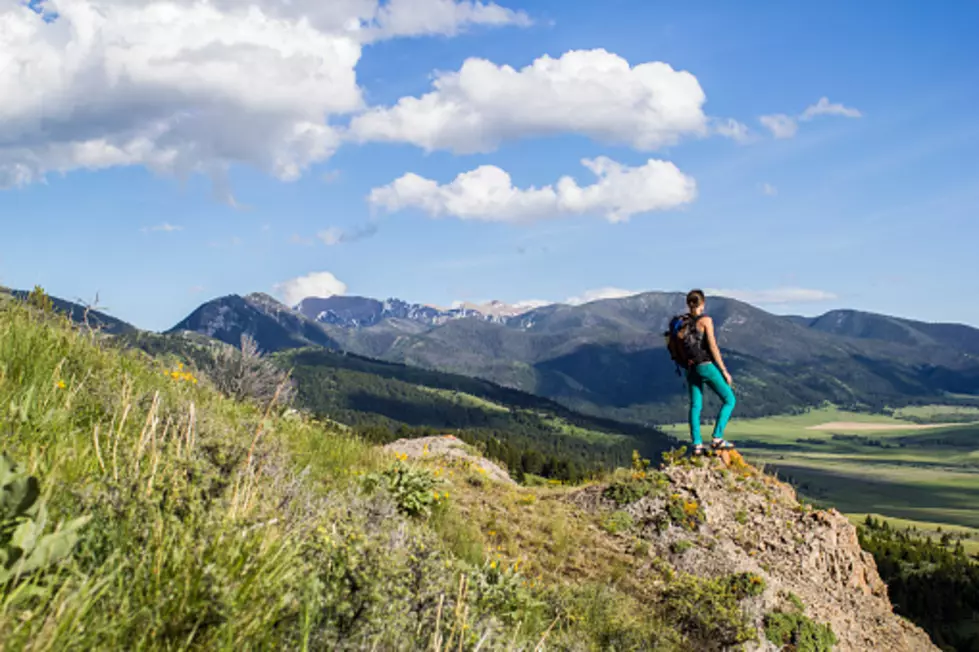GVLT’s Discovery Walks are Back
